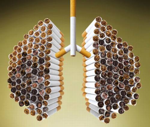 jak rzucić palenie - płuca